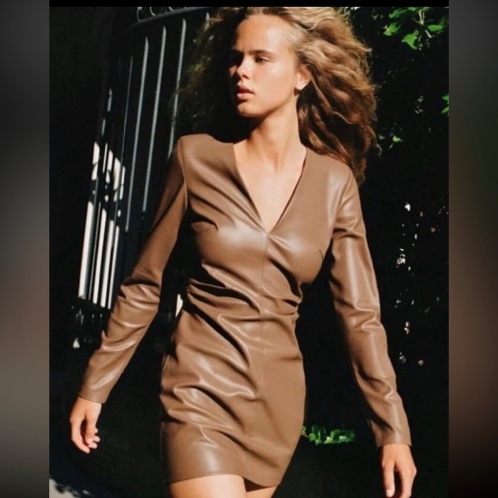 Zara Faux Leather Dress